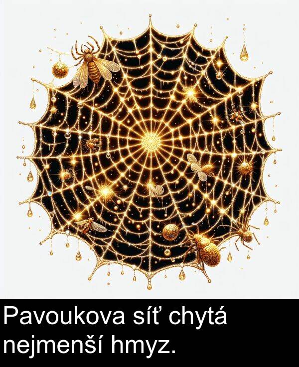 chytá: Pavoukova síť chytá nejmenší hmyz.