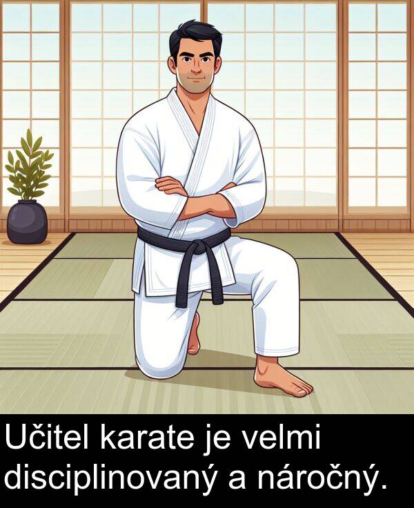karate: Učitel karate je velmi disciplinovaný a náročný.