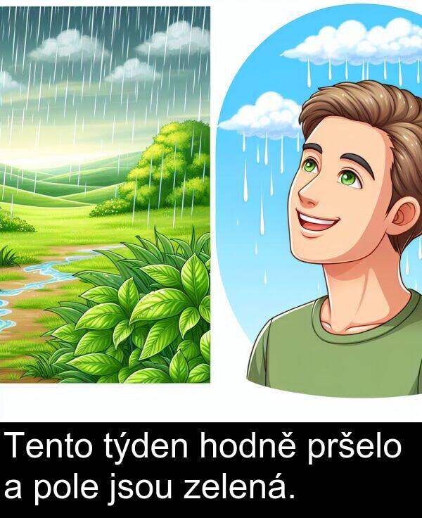 zelená: Tento týden hodně pršelo a pole jsou zelená.