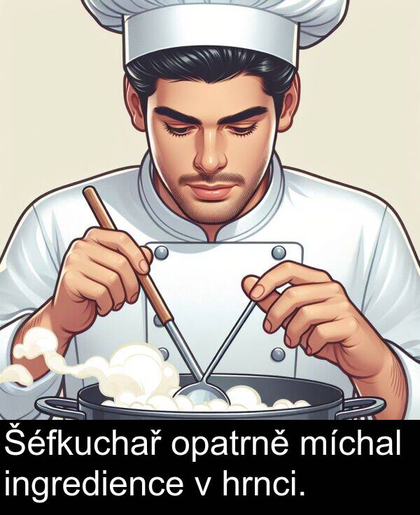ingredience: Šéfkuchař opatrně míchal ingredience v hrnci.