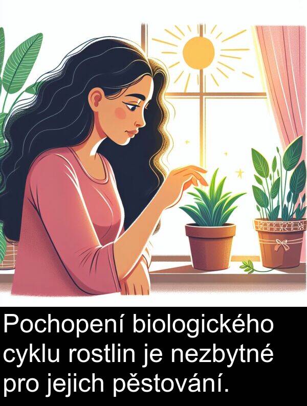 cyklu: Pochopení biologického cyklu rostlin je nezbytné pro jejich pěstování.
