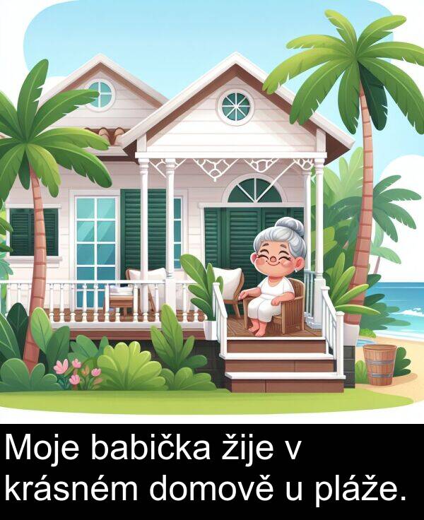 babička: Moje babička žije v krásném domově u pláže.
