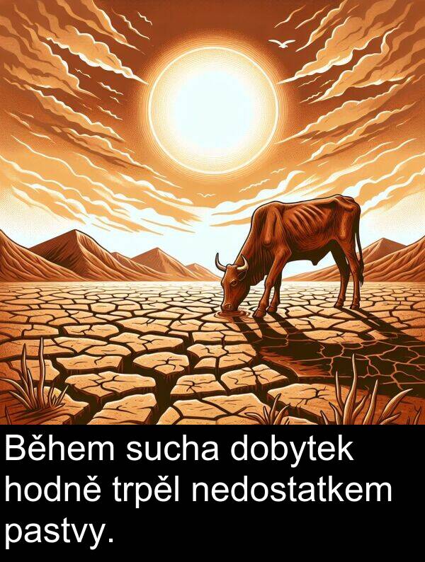 sucha: Během sucha dobytek hodně trpěl nedostatkem pastvy.