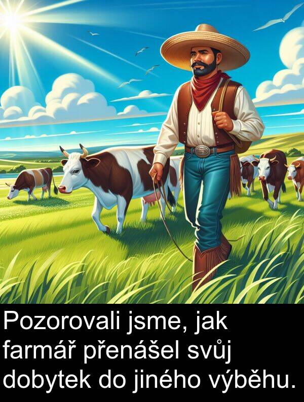 farmář: Pozorovali jsme, jak farmář přenášel svůj dobytek do jiného výběhu.