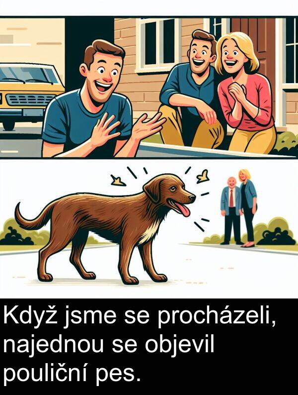 objevil: Když jsme se procházeli, najednou se objevil pouliční pes.