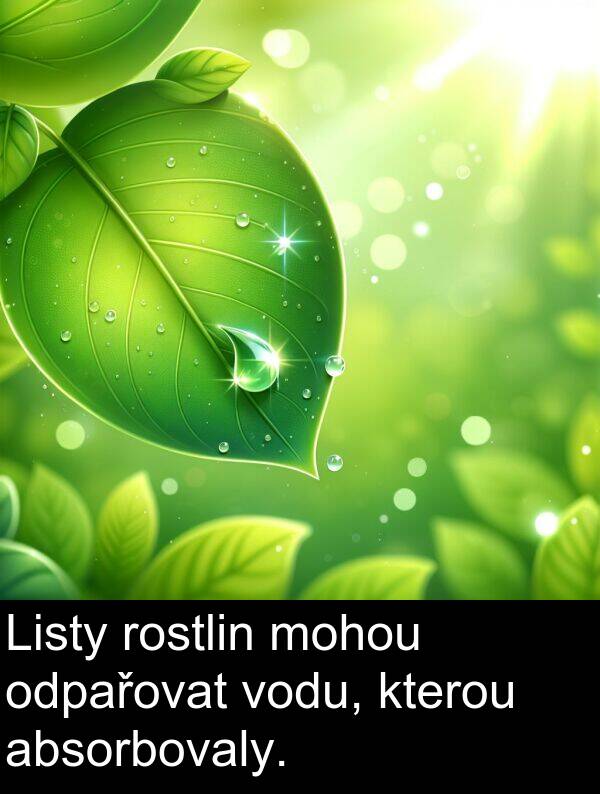 absorbovaly: Listy rostlin mohou odpařovat vodu, kterou absorbovaly.