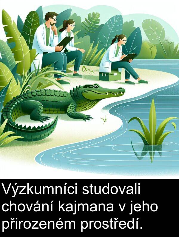 kajmana: Výzkumníci studovali chování kajmana v jeho přirozeném prostředí.