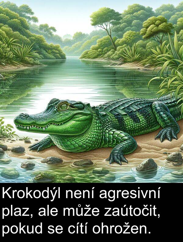 cítí: Krokodýl není agresivní plaz, ale může zaútočit, pokud se cítí ohrožen.
