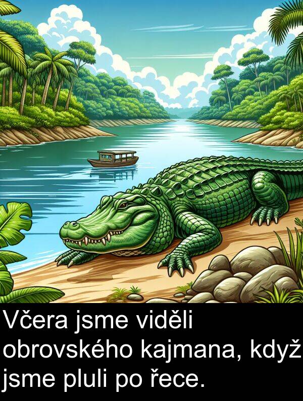 kajmana: Včera jsme viděli obrovského kajmana, když jsme pluli po řece.