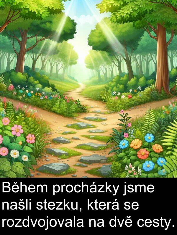 cesty: Během procházky jsme našli stezku, která se rozdvojovala na dvě cesty.