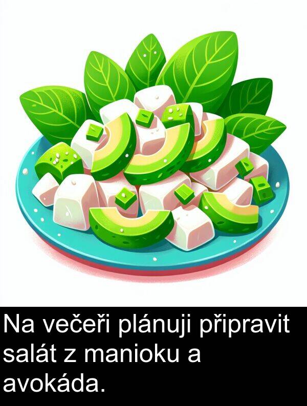 večeři: Na večeři plánuji připravit salát z manioku a avokáda.