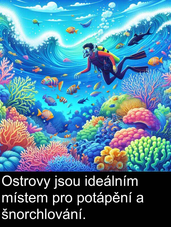 šnorchlování: Ostrovy jsou ideálním místem pro potápění a šnorchlování.