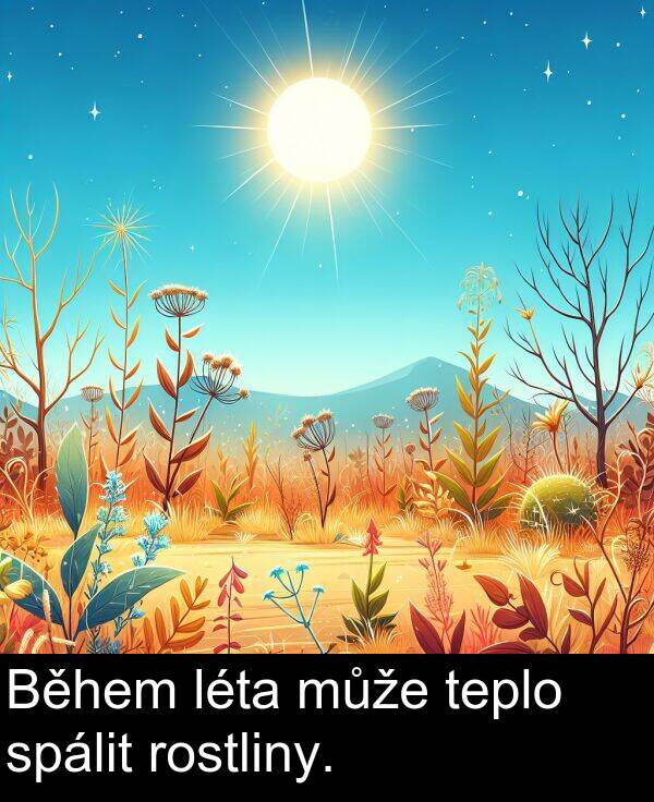 spálit: Během léta může teplo spálit rostliny.