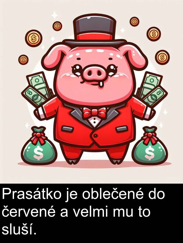 červené: Prasátko je oblečené do červené a velmi mu to sluší.