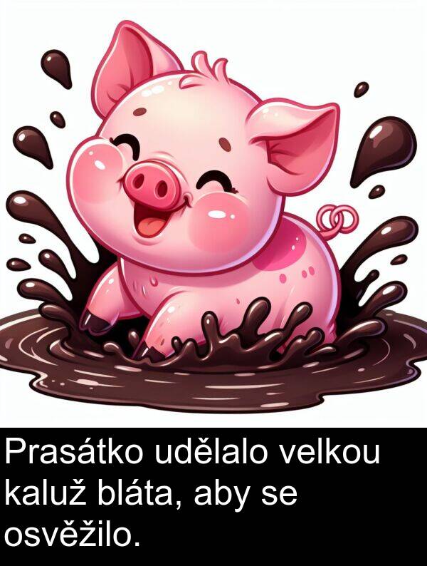kaluž: Prasátko udělalo velkou kaluž bláta, aby se osvěžilo.