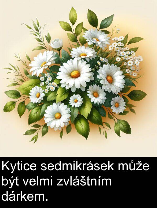 dárkem: Kytice sedmikrásek může být velmi zvláštním dárkem.