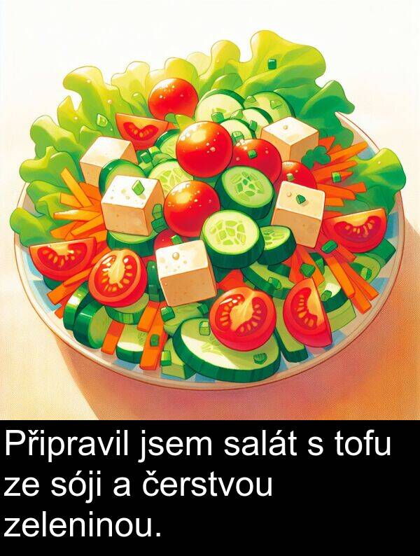 salát: Připravil jsem salát s tofu ze sóji a čerstvou zeleninou.
