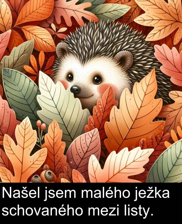malého: Našel jsem malého ježka schovaného mezi listy.