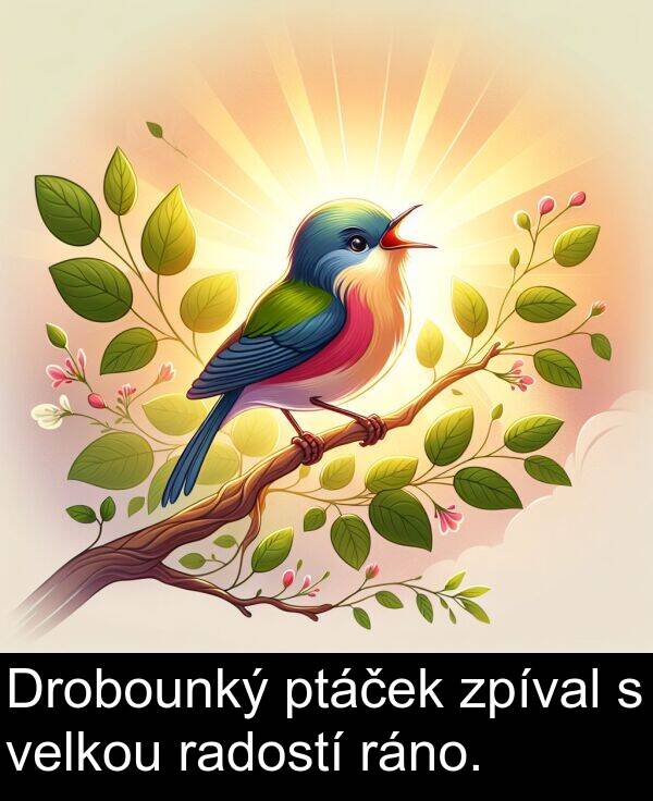 ráno: Drobounký ptáček zpíval s velkou radostí ráno.