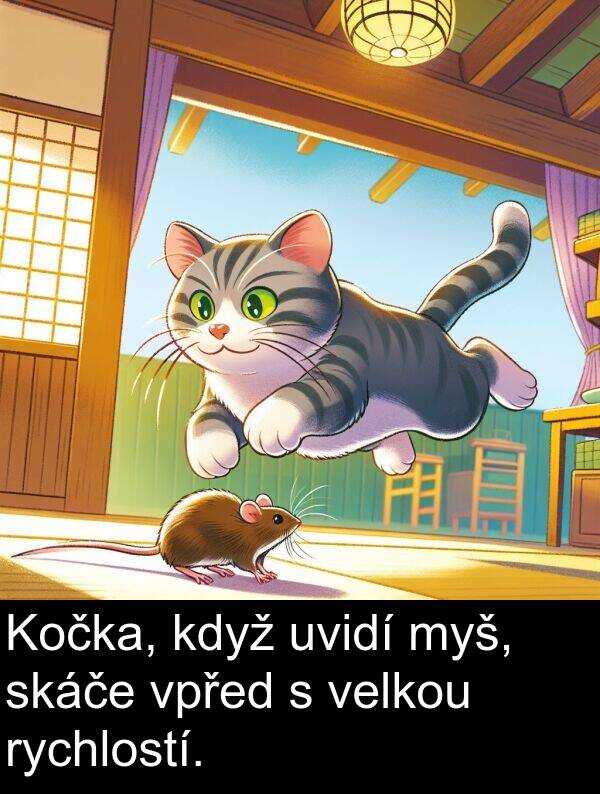 skáče: Kočka, když uvidí myš, skáče vpřed s velkou rychlostí.