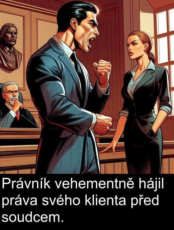 hájil: Právník vehementně hájil práva svého klienta před soudcem.