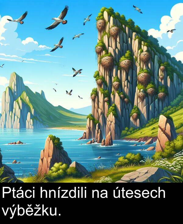 hnízdili: Ptáci hnízdili na útesech výběžku.