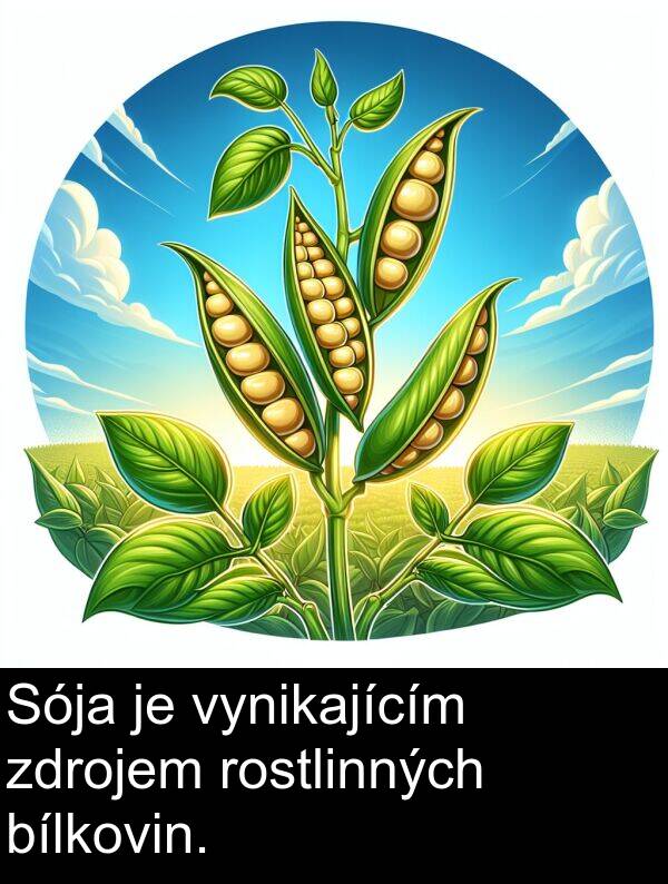 zdrojem: Sója je vynikajícím zdrojem rostlinných bílkovin.