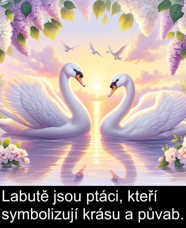 jsou: Labutě jsou ptáci, kteří symbolizují krásu a půvab.