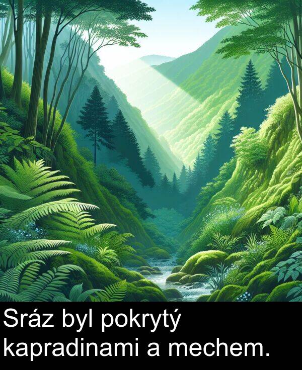 kapradinami: Sráz byl pokrytý kapradinami a mechem.
