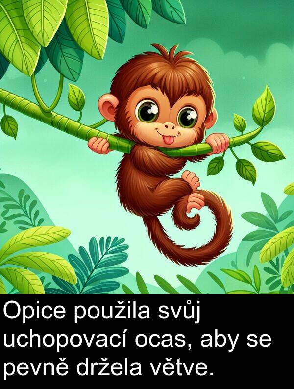 pevně: Opice použila svůj uchopovací ocas, aby se pevně držela větve.
