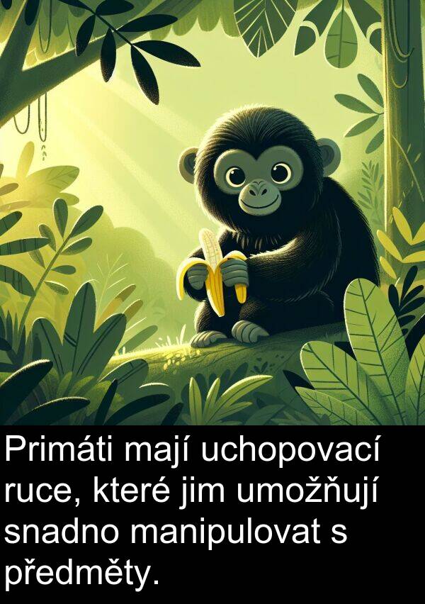 mají: Primáti mají uchopovací ruce, které jim umožňují snadno manipulovat s předměty.