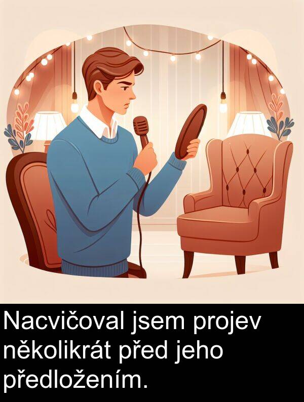 několikrát: Nacvičoval jsem projev několikrát před jeho předložením.