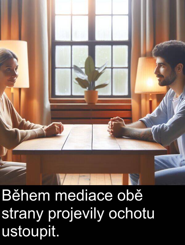 obě: Během mediace obě strany projevily ochotu ustoupit.