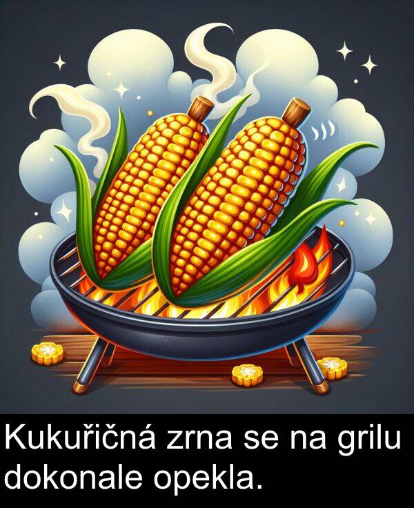grilu: Kukuřičná zrna se na grilu dokonale opekla.