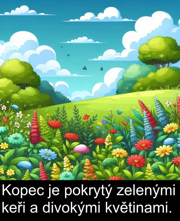 zelenými: Kopec je pokrytý zelenými keři a divokými květinami.