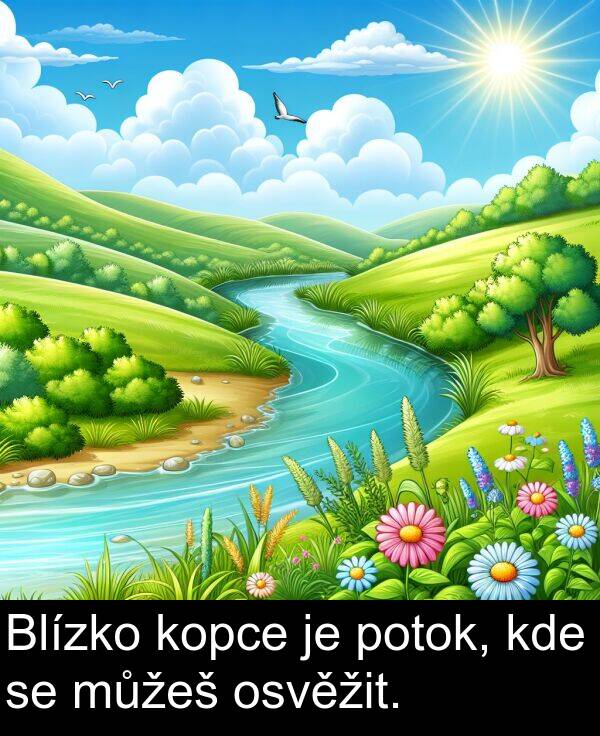 osvěžit: Blízko kopce je potok, kde se můžeš osvěžit.