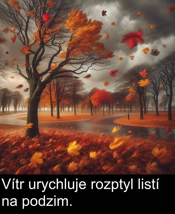 rozptyl: Vítr urychluje rozptyl listí na podzim.