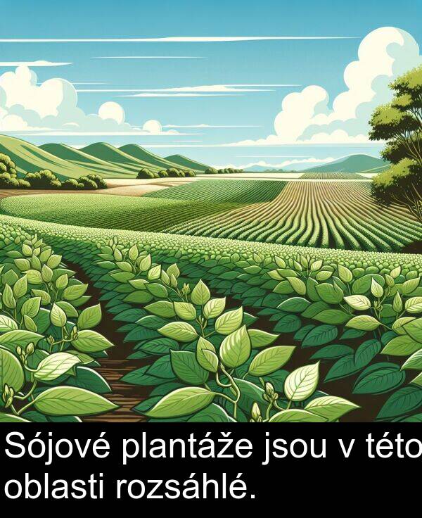 plantáže: Sójové plantáže jsou v této oblasti rozsáhlé.