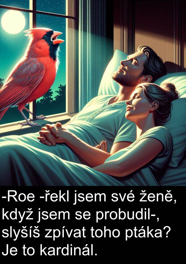kardinál: -Roe -řekl jsem své ženě, když jsem se probudil-, slyšíš zpívat toho ptáka? Je to kardinál.