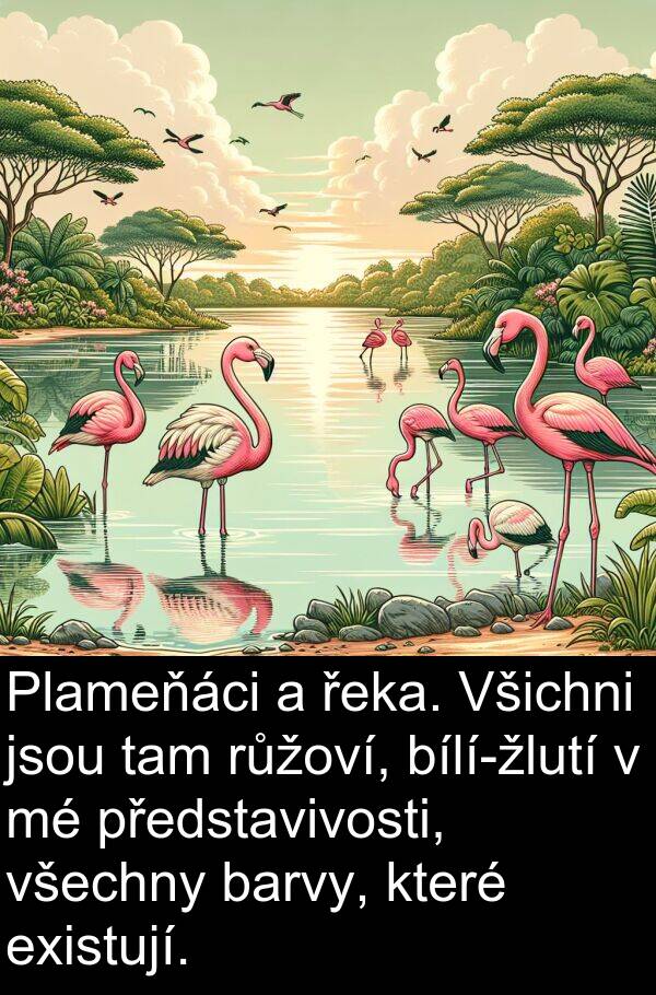 tam: Plameňáci a řeka. Všichni jsou tam růžoví, bílí-žlutí v mé představivosti, všechny barvy, které existují.