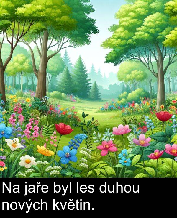 byl: Na jaře byl les duhou nových květin.