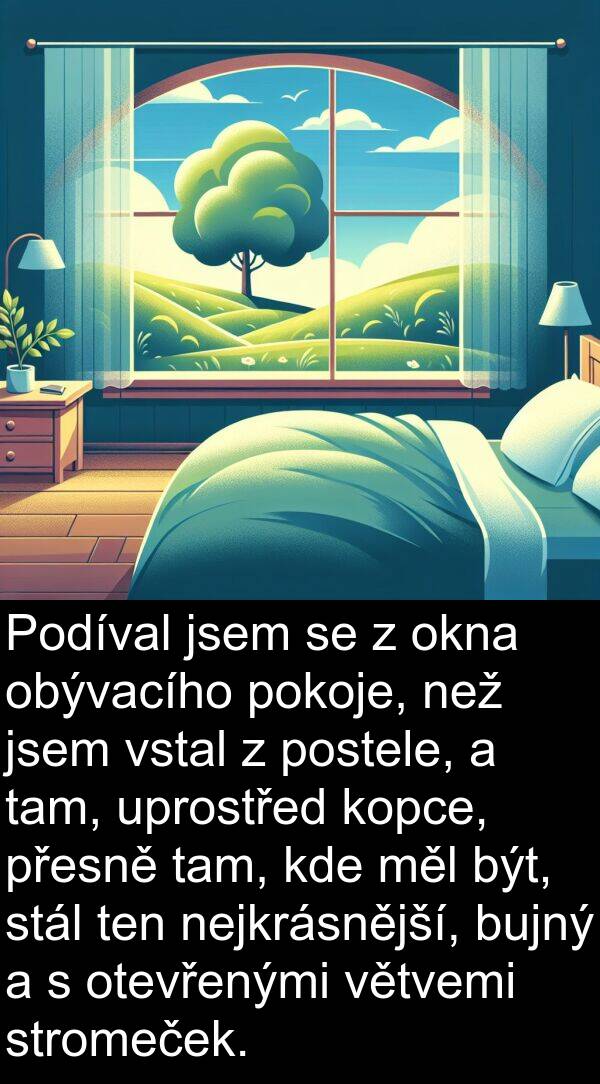 tam: Podíval jsem se z okna obývacího pokoje, než jsem vstal z postele, a tam, uprostřed kopce, přesně tam, kde měl být, stál ten nejkrásnější, bujný a s otevřenými větvemi stromeček.