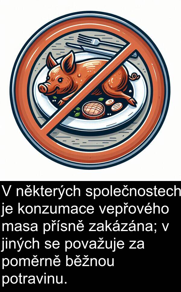 přísně: V některých společnostech je konzumace vepřového masa přísně zakázána; v jiných se považuje za poměrně běžnou potravinu.
