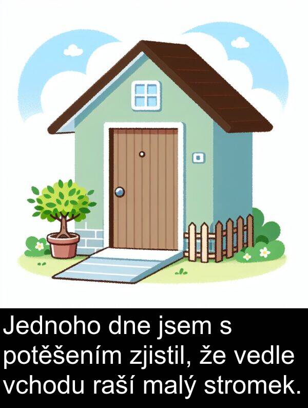 raší: Jednoho dne jsem s potěšením zjistil, že vedle vchodu raší malý stromek.