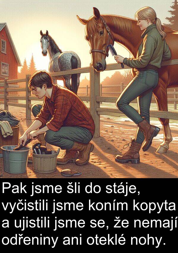 se: Pak jsme šli do stáje, vyčistili jsme koním kopyta a ujistili jsme se, že nemají odřeniny ani oteklé nohy.