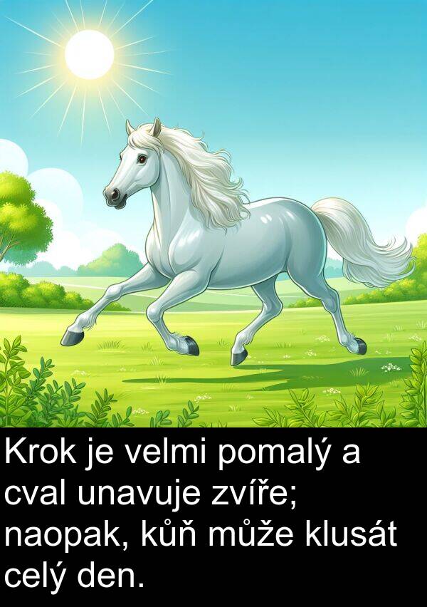 celý: Krok je velmi pomalý a cval unavuje zvíře; naopak, kůň může klusát celý den.