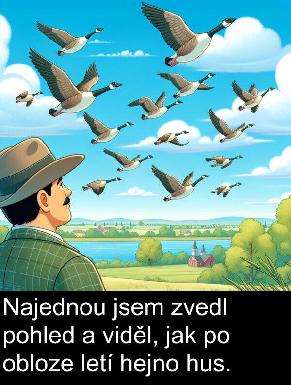 hejno: Najednou jsem zvedl pohled a viděl, jak po obloze letí hejno hus.