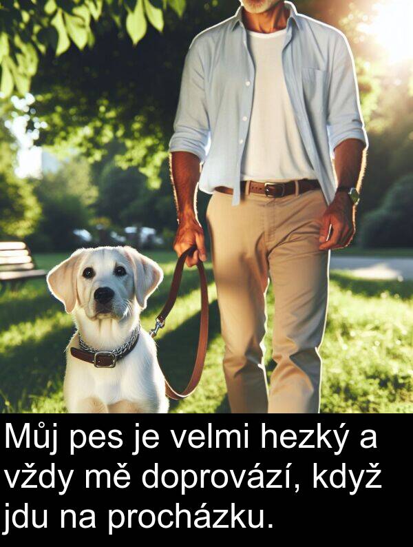 hezký: Můj pes je velmi hezký a vždy mě doprovází, když jdu na procházku.