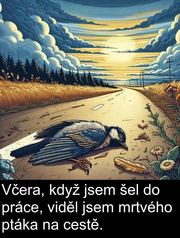 cestě: Včera, když jsem šel do práce, viděl jsem mrtvého ptáka na cestě.