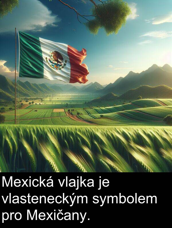 symbolem: Mexická vlajka je vlasteneckým symbolem pro Mexičany.